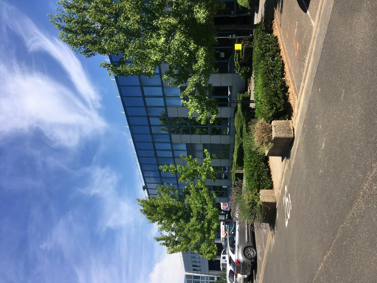 Local d'activité Fresnes 459m² Location local d'activité Fresnes Val-de-Marne OLACT2424513 5